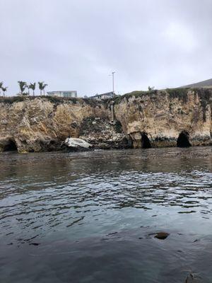 Pismo Beach Dive Shop