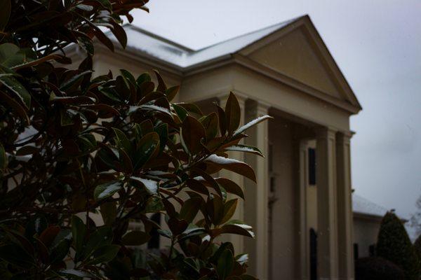 Snow draped Magnolia at our Main Office