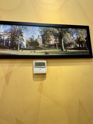 A picture of Harvard University in Cambridge on the wall. The Interior of The Big Cup Dunkin Donuts in Harvard Square Cambridge MA.