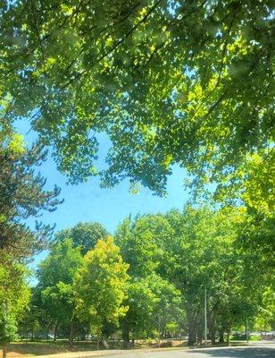 Pretty quiet little park in a sea of office buildings.