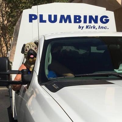 Not only a great plumber, but one with personality