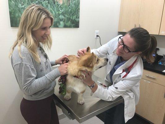 Dr. Yeager performs a veterinary exam on a happy puppy.