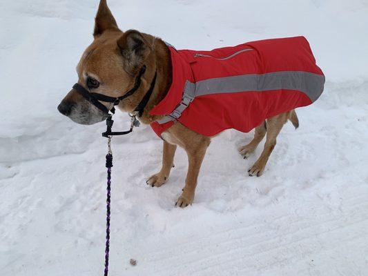 Fred in his new jacket.