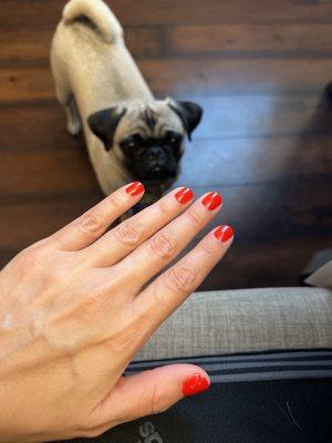 Classic gel manicure in lucky red