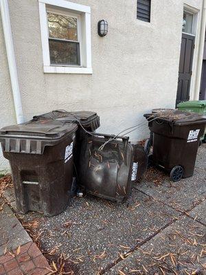 The way This company will leave their cans laying on your property after they empty them