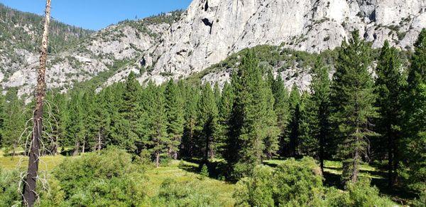 Small view of the meadow