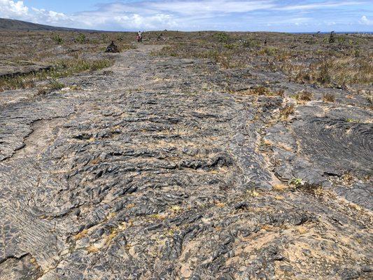 Near the Pu'u Loa Petroglyphs on the Chain of Craters Road in Volcanoes National Park, Hawaii.