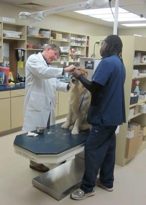 Dr. Weaver checks the ears during a comprehensive exam, with assistance from JJ.