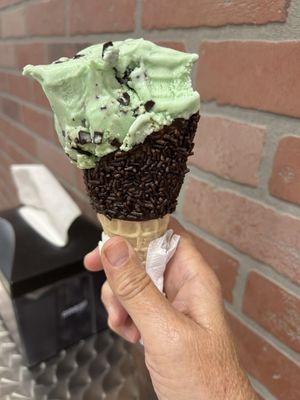 Mint Chocolate Chip on chocolate sprinkle cone. So awesome and a very generous serving. Staff was very friendly too. We'll be back!