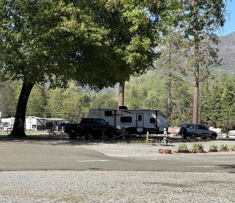 Nice clean and spacious lots with Shaded options.