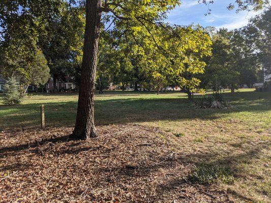 Ivey Arboretum at Sally Fox Park, Hickory