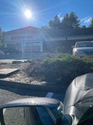 Old dying bushes grace the parking lot(