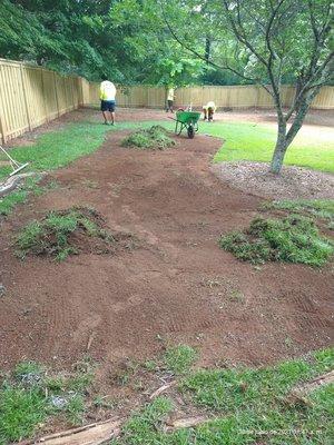 Sod install