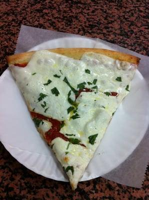 Mozzarella & Tomato slice.