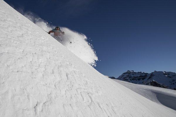 Powder skiing with Telluride Helitrax.