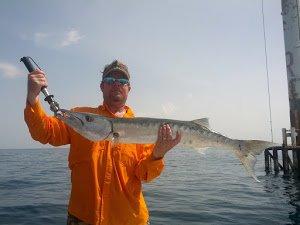 King Mackerel in Bonita Springs, FL