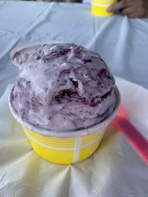 Wild Maine Maine Wild Blueberry Ice Cream