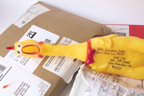 Imagine receiving a squawking rubber chicken amongst all of your regular packages