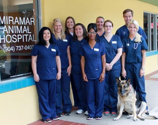 Miramar Staff. (Left to right) Angela, Korina, Sara, Shannon,Mary, Tina, Laura, Dr. Stacey, Dr. Ferrin Stacey