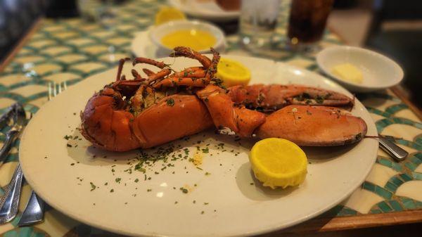 Creole Broiled Maine Lobster