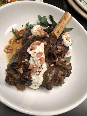 braised lamb shank with tahini yogurt, aleppo, and pomegranate