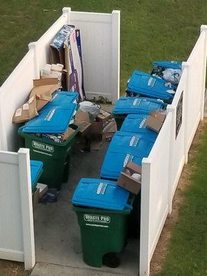 Overflowing Recycling area