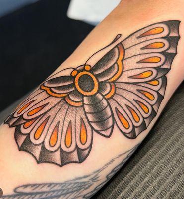 Cool moth by morgan