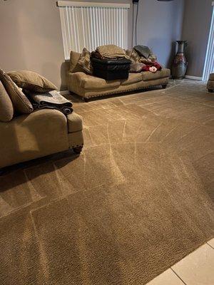 Wright Carpet Cleaning