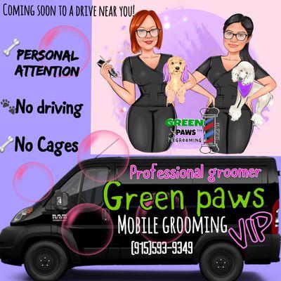 Green paws Mobile grooming