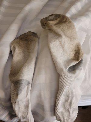 My husband's socks after walking around the room. They were clean this morning.