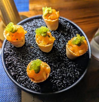 Salmon tartare cones