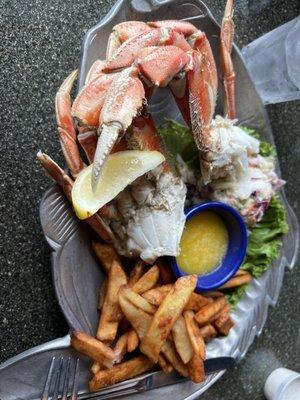 Dungeness Crab