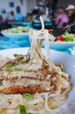 Chicken Alfredo over fettuccine pasta