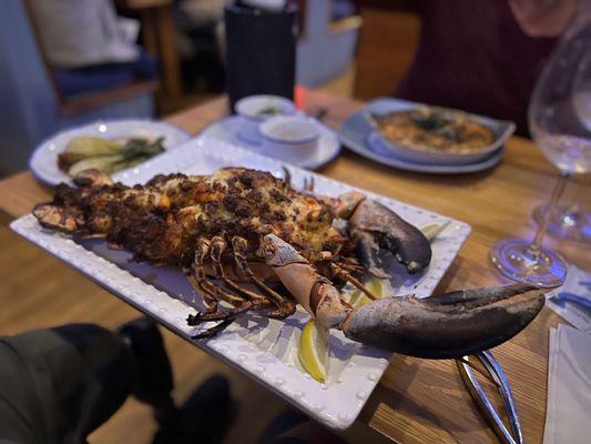 Stuffed 2.5 lbs lobster!