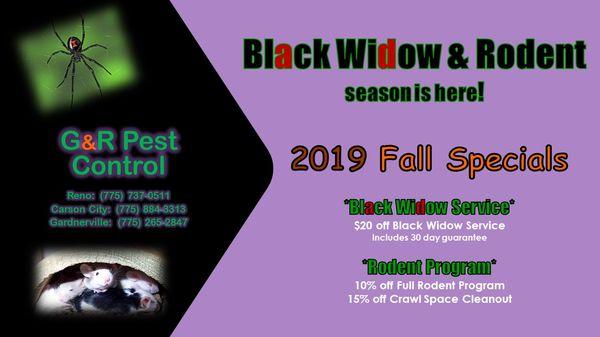 Fall Specials for Black Widows & Rodents