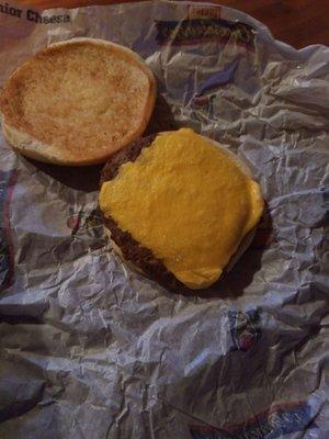 This was supposed to be a plain burger