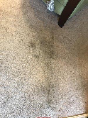 The brown stain, which wasn't there before the cleaning.