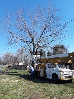 Johnson's Tree Surgery & Landscaping