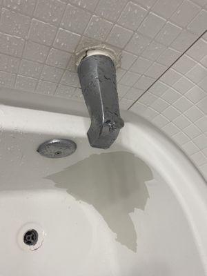 Bathtub paint coming off and tub spout looks like it'll need some attention soon .