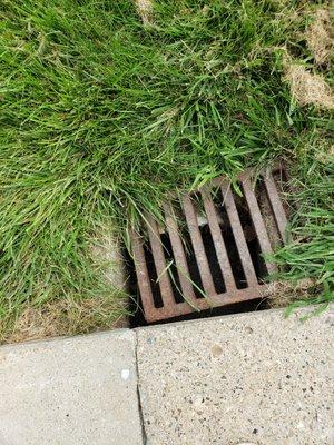 Grate not completely covering hole, hazard to small pets or critters.