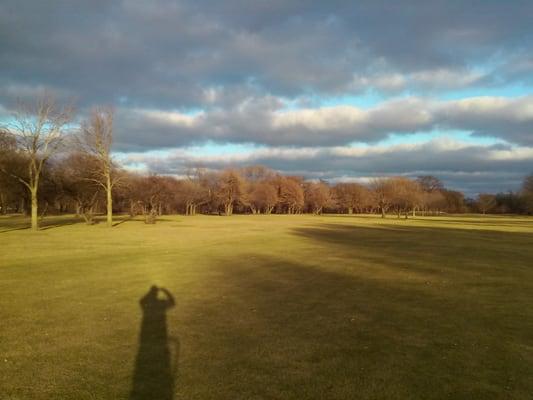 Shot of Jackson Park Golf Course, November 2015