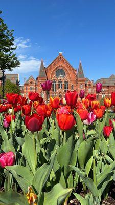 Cincinnati music hall and flowers