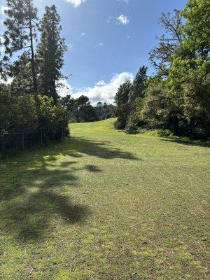 Hole 8 fairway