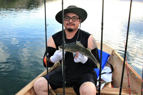 Ray with school size striper