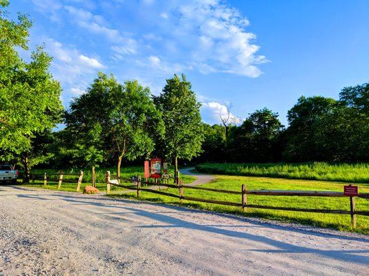 Stroud Preserve, Natural Lands