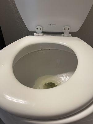 Feces on the rim of the toilet and on the lid