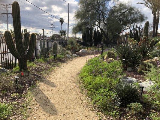 Garden pathway