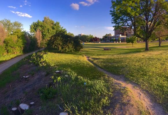 Pano of the Park at Dawn