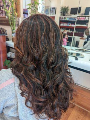 Highlights By Stephanie!