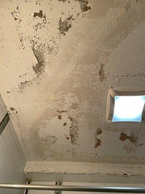 Bathroom ceiling paint peeling off